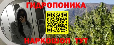 марихуана Будённовск