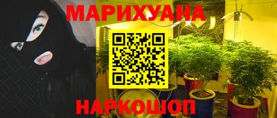 марихуана Будённовск